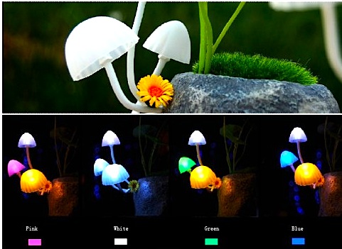 2311230534_LED_Colorful_Mushroom_Night_Lamp3