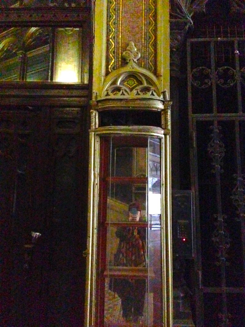 IMG_3715 IMG_3715