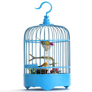REX_birdcage