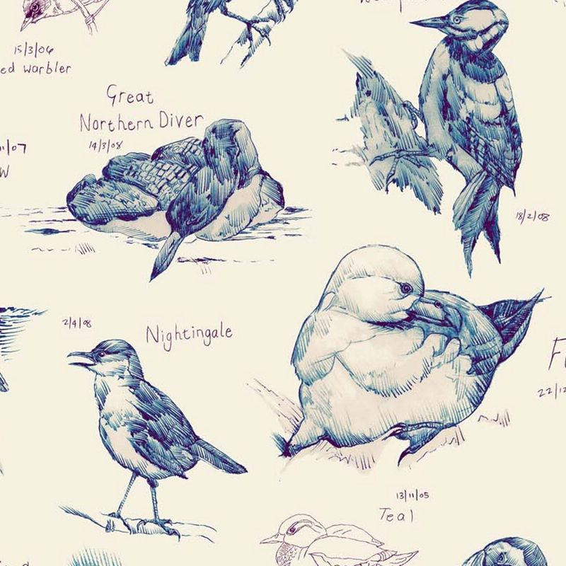 Ornithology detail