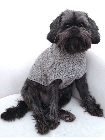Knitted_dog_jumper_pattern