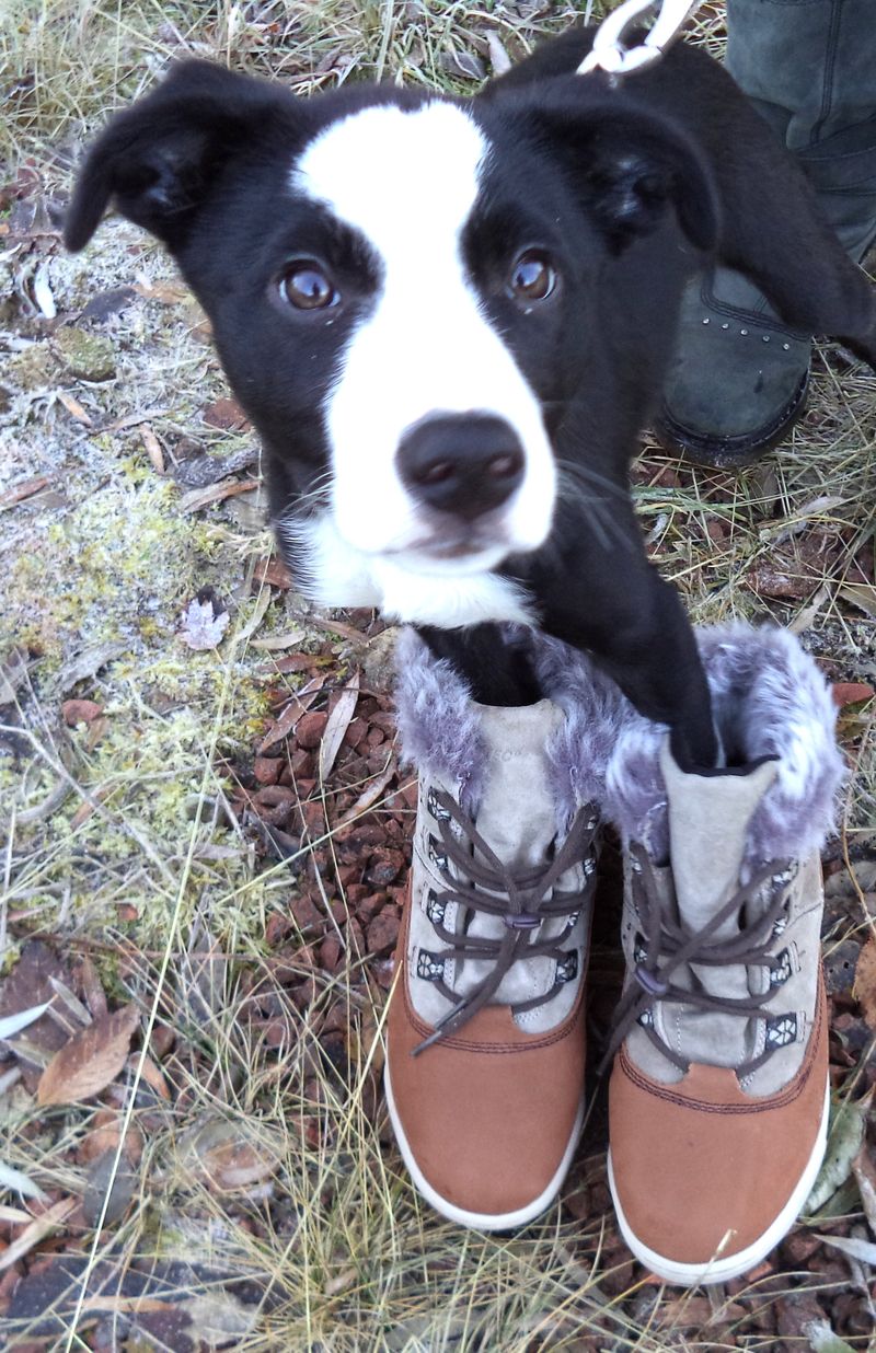 Hollie in boots