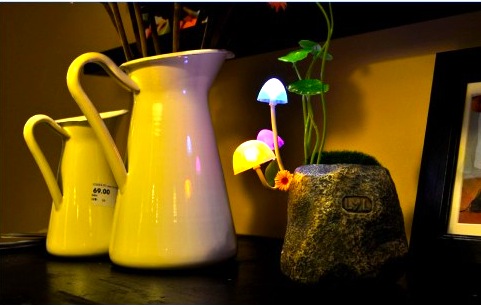 2311230534_LED_Colorful_Mushroom_Night_Lamp2