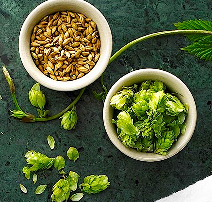 Carlsberg-beer-beauty-ingredients-IIHIH